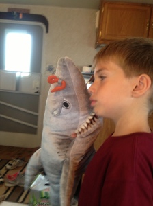 Here's Eddie with our shark friend Chum searching for Nemo